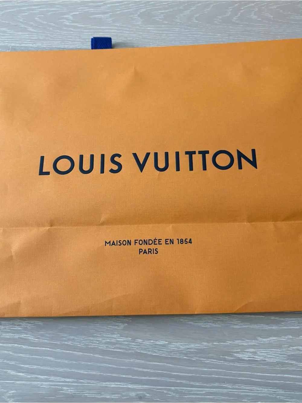 Louis Vuitton Medium Large Shopping Gift Bag